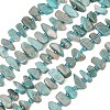 Natural Amazonite Beads Strands G-P619-A04-01-2