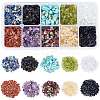 10 Style Natural & Synthetic Gemstone Chip Beads G-NB0002-54A-1