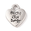 Tibetan Style Alloy Charms FIND-C060-053AS-1
