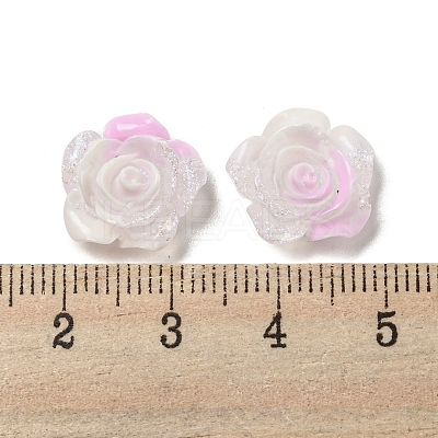Luminous Transparent Resin Decoden Cabochons LS-RESI-D013-06E-1