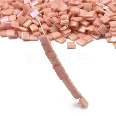 MIYUKI TILA Beads SEED-MY05-TL596-1
