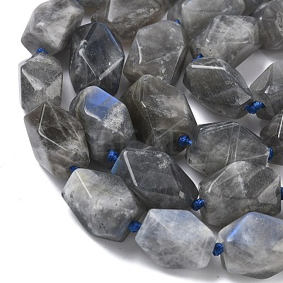 Natural Labradorite Beads Strands G-C270-F01-1