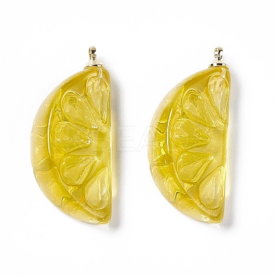 Transparent Resin Pendants RESI-P020-01P-1