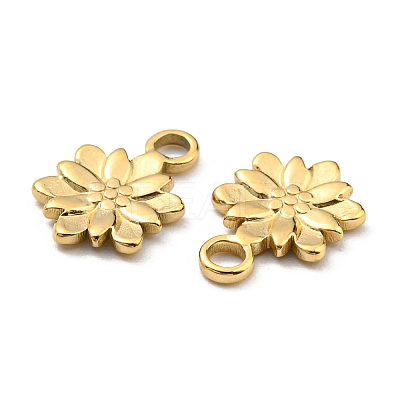 304 Stainless Steel Charm LS-STAS-R124-03G-1