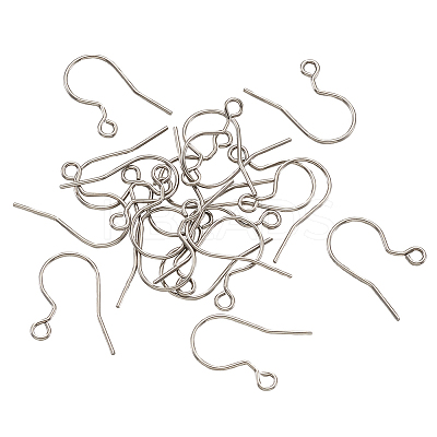 304 Stainless Steel Earring Hooks STAS-TAC0002-01P-1