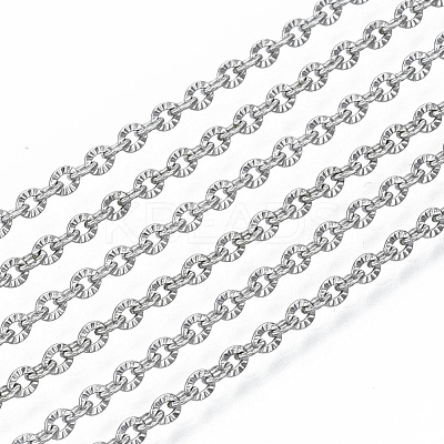 Tarnish Resistant 304 Stainless Steel Chains CHS-S001-12A-P-1