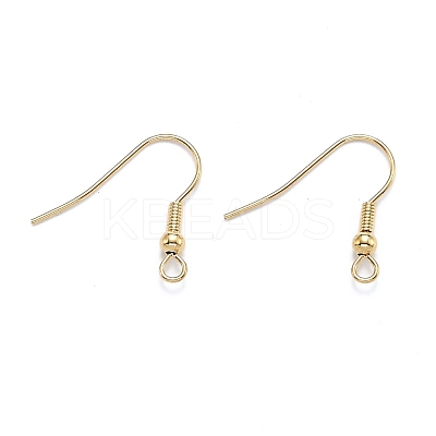 304 Stainless Steel Earring Hooks X-STAS-D448-036G-1