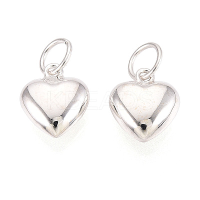 925 Sterling Silver Heart Charms STER-T008-32S-02-1