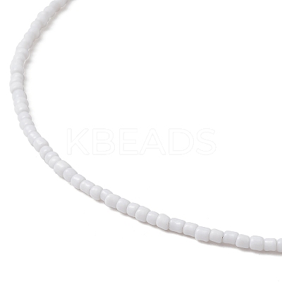 Glass Seed Beaded Eyeglasses Chains AJEW-TA00036-1