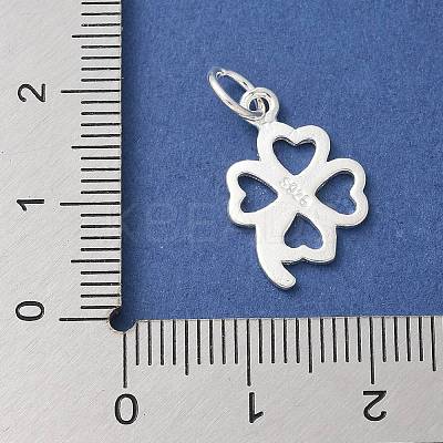 S925 Sterling Silver Pendant STER-H115-08A-S-1