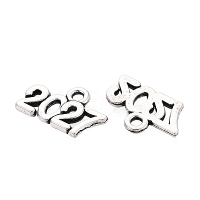 New Year's Day Tibetan Style Alloy Charms LS-FIND-N014-01AS-1