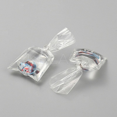 Transparent Resin Big Pendants RESI-TAC0024-01A-1