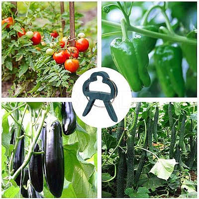 Plastic Gardening Plant & Flower Lever Loop Gripper Clips TOOL-GA0001-01-1