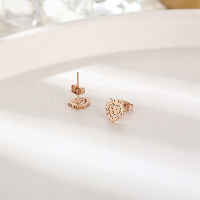 304 Stainless Steel Stud Earrings for Women FU7169-3-1