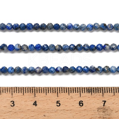 Natural Lapis Lazuli Beads Strands LS-G-RM2025526-A01-3mm-1