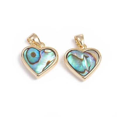 Natural Abalone Shell/Paua Shell Charms KK-L196-14B-1