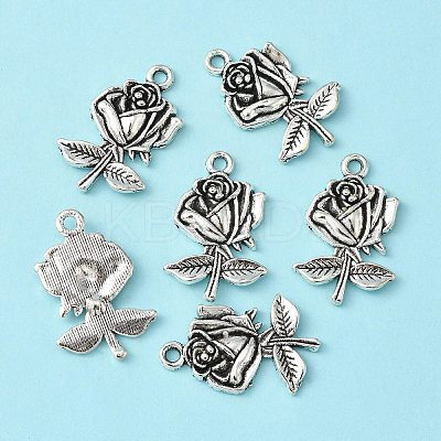 Tibetan Style Alloy Pendants X-TIBEP-EA155YKG-AS-LF-1