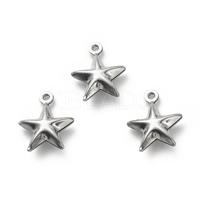 Non-Tarnish 304 Stainless Steel Pendants STAS-D243-08-1