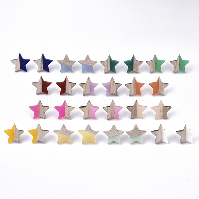 Resin & Wood Stud Earrings EJEW-N017-001A-1