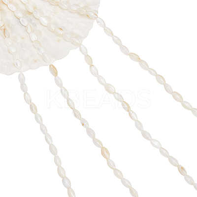 4 Strands Natural Freshwater Shell Beads Strands SHEL-NB0001-53-1