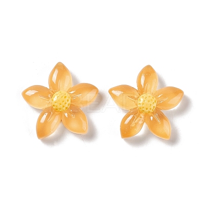 Translucent & Opaque Resin Cabochons RESI-G041-A01-1