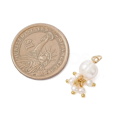 Potato Natural Cultured Freshwater Pearl Pendants PALLOY-JF04749-03-1