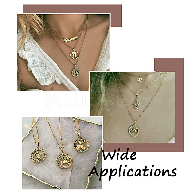 2 Sets 2 Colors Zinc Alloy Jewelry Pendant Accessories FIND-FW0001-06-1