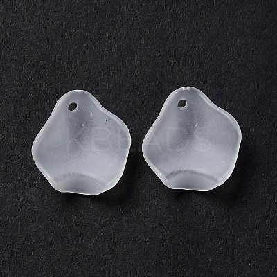 Frosted Acrylic Pendants OACR-G014-02-1