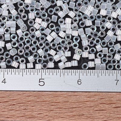 MIYUKI Delica Beads SEED-MY11-DB0670-1