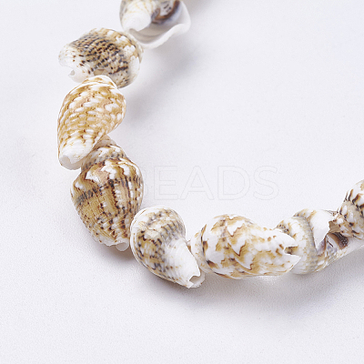 Natural Sea Shell Beads Strands X-BSHE-K012-07-1