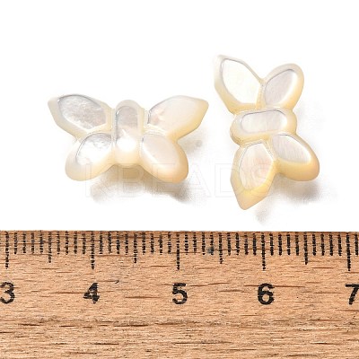 Natural White Shell Beads BSHE-Z008-02-1