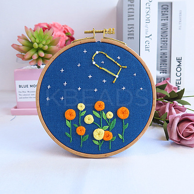 Flower & Constellation Pattern 3D Bead Embroidery Starter Kits DIY-P077-083-1