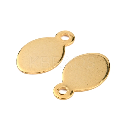 30Pcs 6 Style Ion Plating(IP) 304 Stainless Steel Charms STAS-FS0001-13G-1