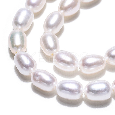 Natural Cultured Freshwater Pearl Beads Strands PEAR-N012-04H-1