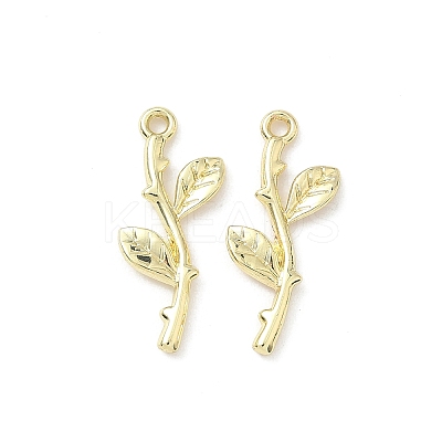 Alloy Pendants FIND-Z089-08G-1