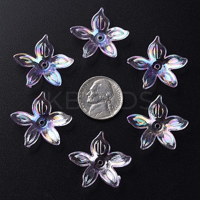 Transparent Acrylic Beads MACR-S373-102-C03-1