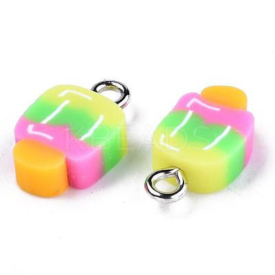 Handmade Polymer Clay Charms CLAY-T016-56-1