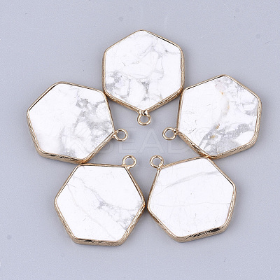 Natural Howlite Pendants G-S344-89I-1