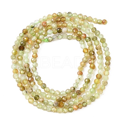 Natural Green Garnet Beads Strands G-A235-A02-02A-1