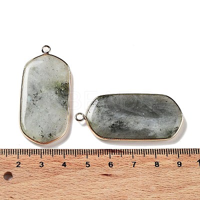 Natural Labradorite Pendants G-G063-02E-1