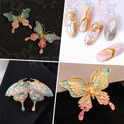 1 Set 12 Grid Nuggets Abalone Shell Nail Art Sequins for Woman Girls MRMJ-SP0001-06-1
