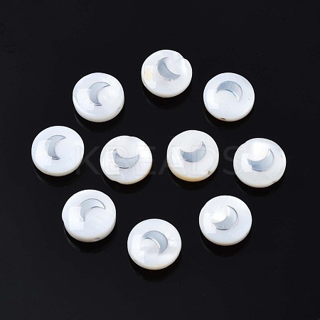 Natural Freshwater Shell Beads SHEL-N003-22-06P-1