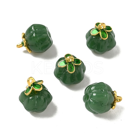 Glass Charms GLAA-P072-04G-08-1