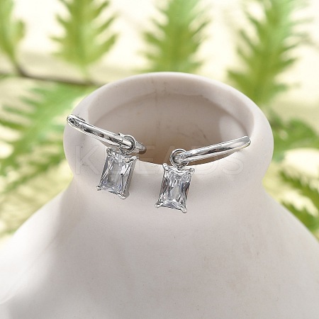 304 Stainless Steel Micro Pave Cubic Zirconia Hoop Earrings STAS-R004-06P-02-1