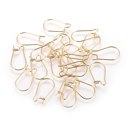 304 Stainless Steel Hoop Earrings STAS-P227-13G-1