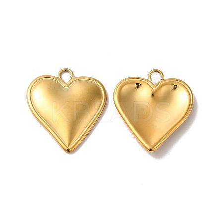 Ion Plating(IP) 304 Stainless Steel Pendants STAS-H212-35G-1