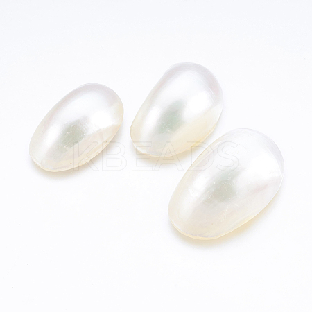 Natural White Shell Mother of Pearl Shell Cabochons SSHEL-P014-01B-1