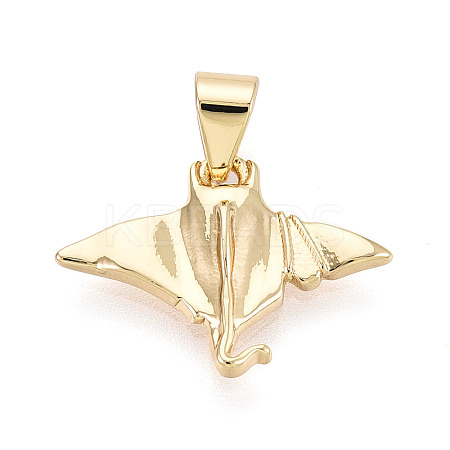 Brass Pendants KK-T080-17G-1