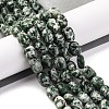 Natural Green Spot Jasper Beads Strands LS-G-G146-A26-01-2