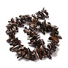 Natural Trochid Shell Beads Strands SSHEL-G023-05A-2